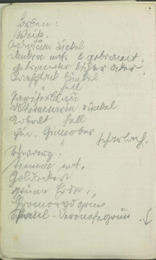 Skizzenbuch von Egon Schiele (Nr. 2) Bild 115