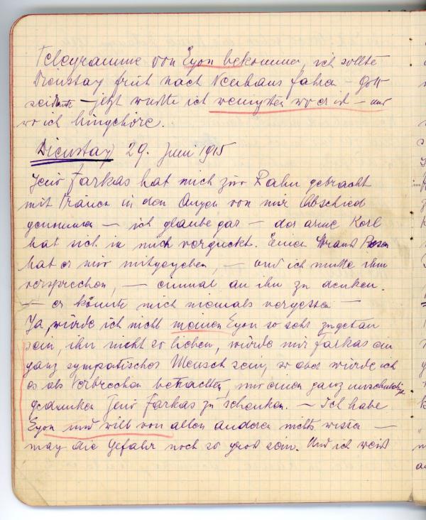 Diary entry made by Edith Schiele 