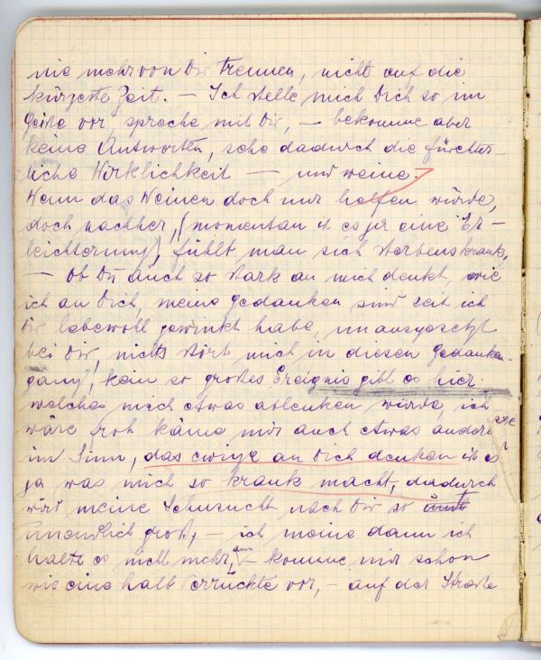 Diary entry made by Edith Schiele Bild 9