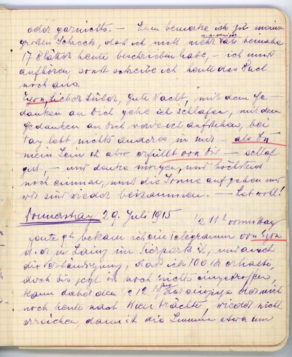 Diary entry made by Edith Schiele Bild 18