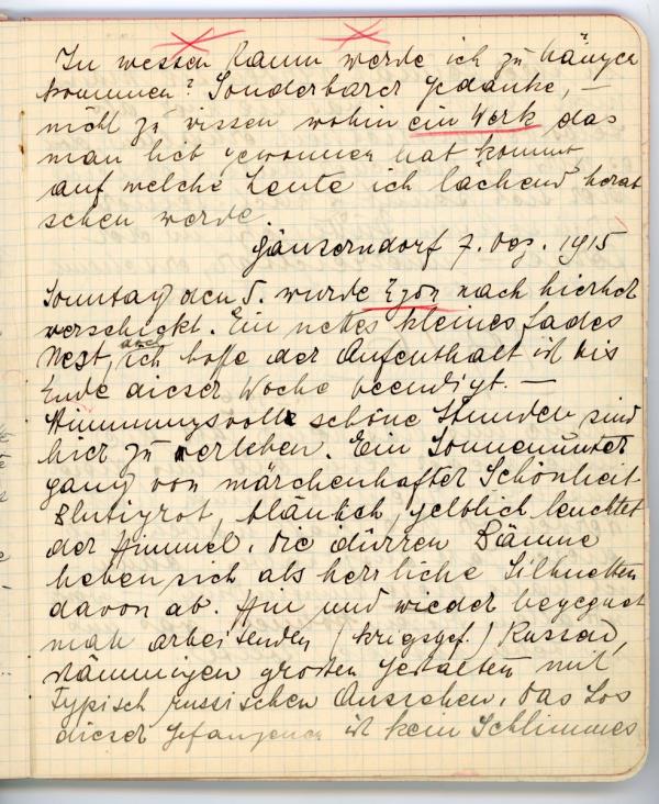 Diary entry made by Edith Schiele 