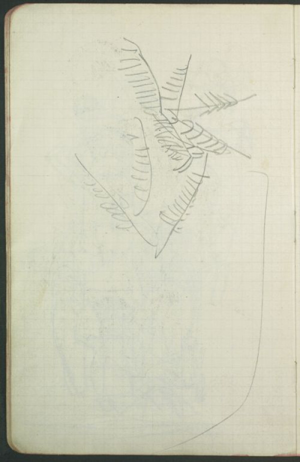 Skizzenbuch von Egon Schiele (Nr. 11) Bild 46